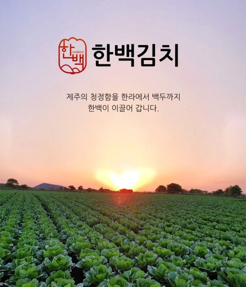 한백 배추 포기김치 2kg 외 3종 - 국내산재료 35년전통 제주김치