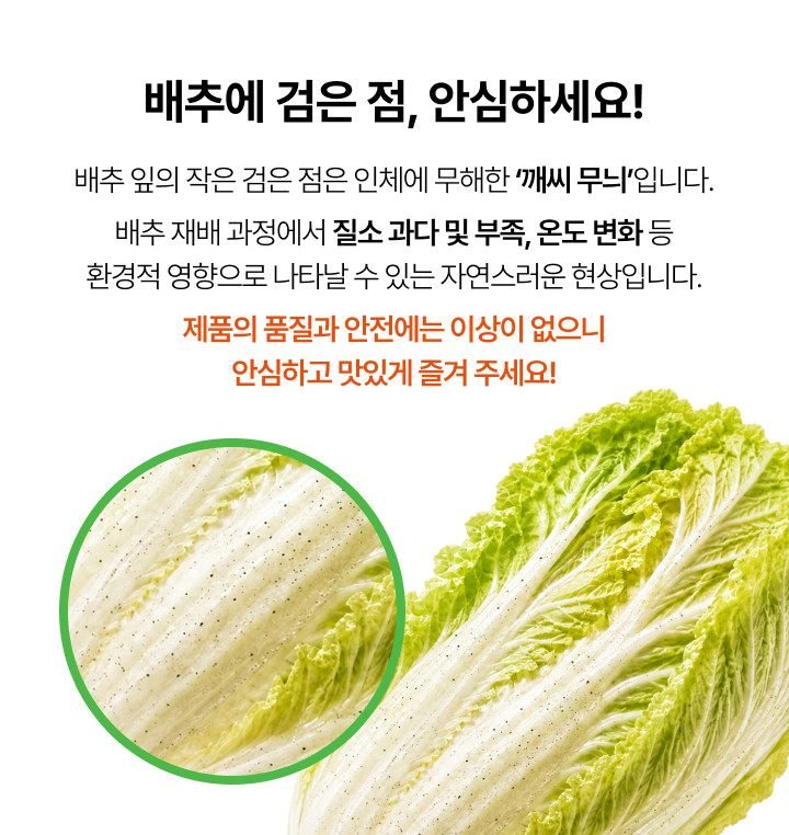 서울식 김치 필동가 CJ제일제당 포기김치 (주문 후 생산) 비비고 김치 2kg, 1개