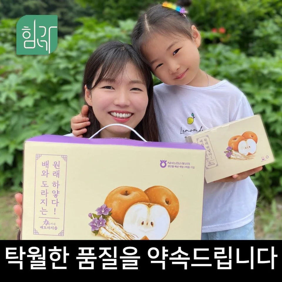 힘가네 국산 도라지배즙 1박스 80ml x 40포