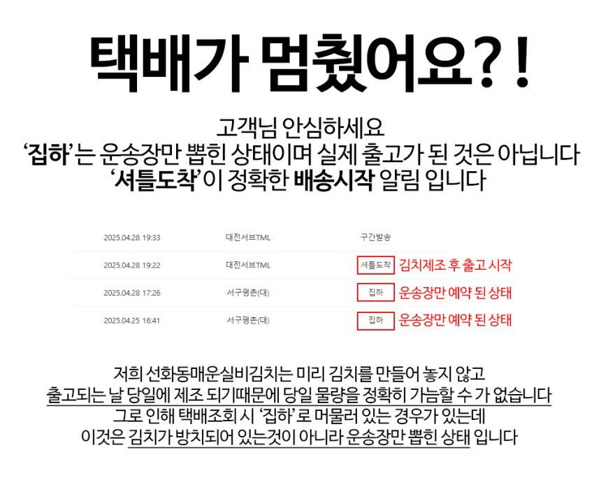 맛있게 매운 대전 선화동 실비 김치 800g, 2개